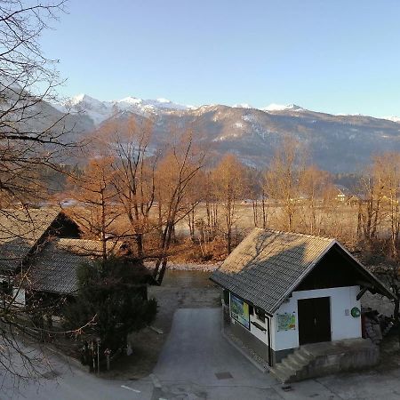 Apartma Kosnik Perunika Bohinj Extérieur photo