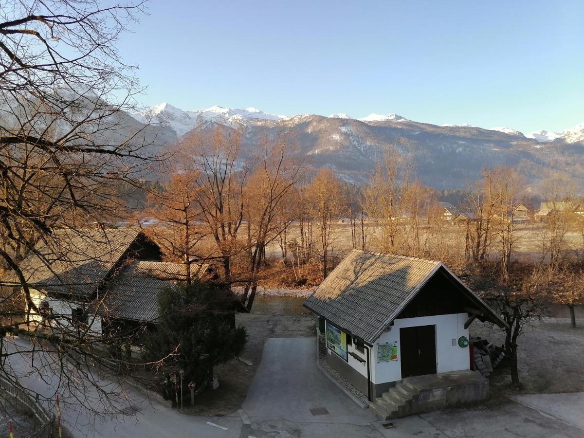 Apartma Kosnik Perunika Bohinj Extérieur photo